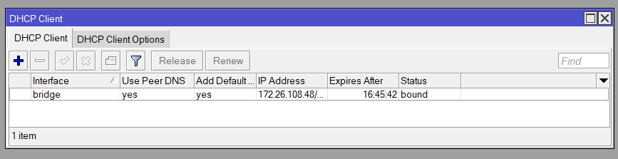 The bridge as a DHCP client, showing a successfully bound IP address.